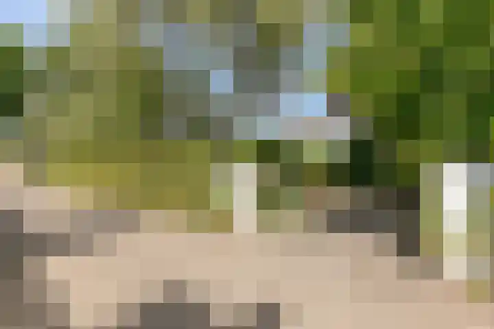 Hamseweg 37 A Hoogland thumbnail 6
