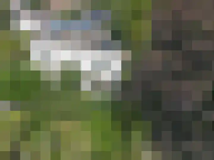 Hamseweg 37 A Hoogland thumbnail 64
