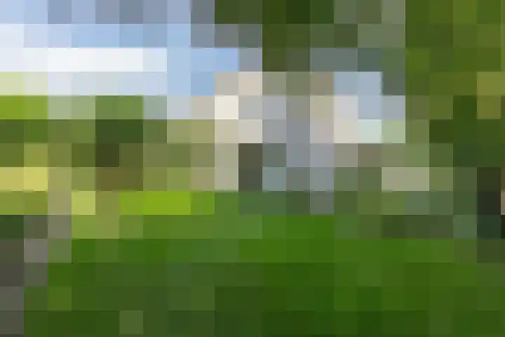 Hamseweg 37 A Hoogland thumbnail 72