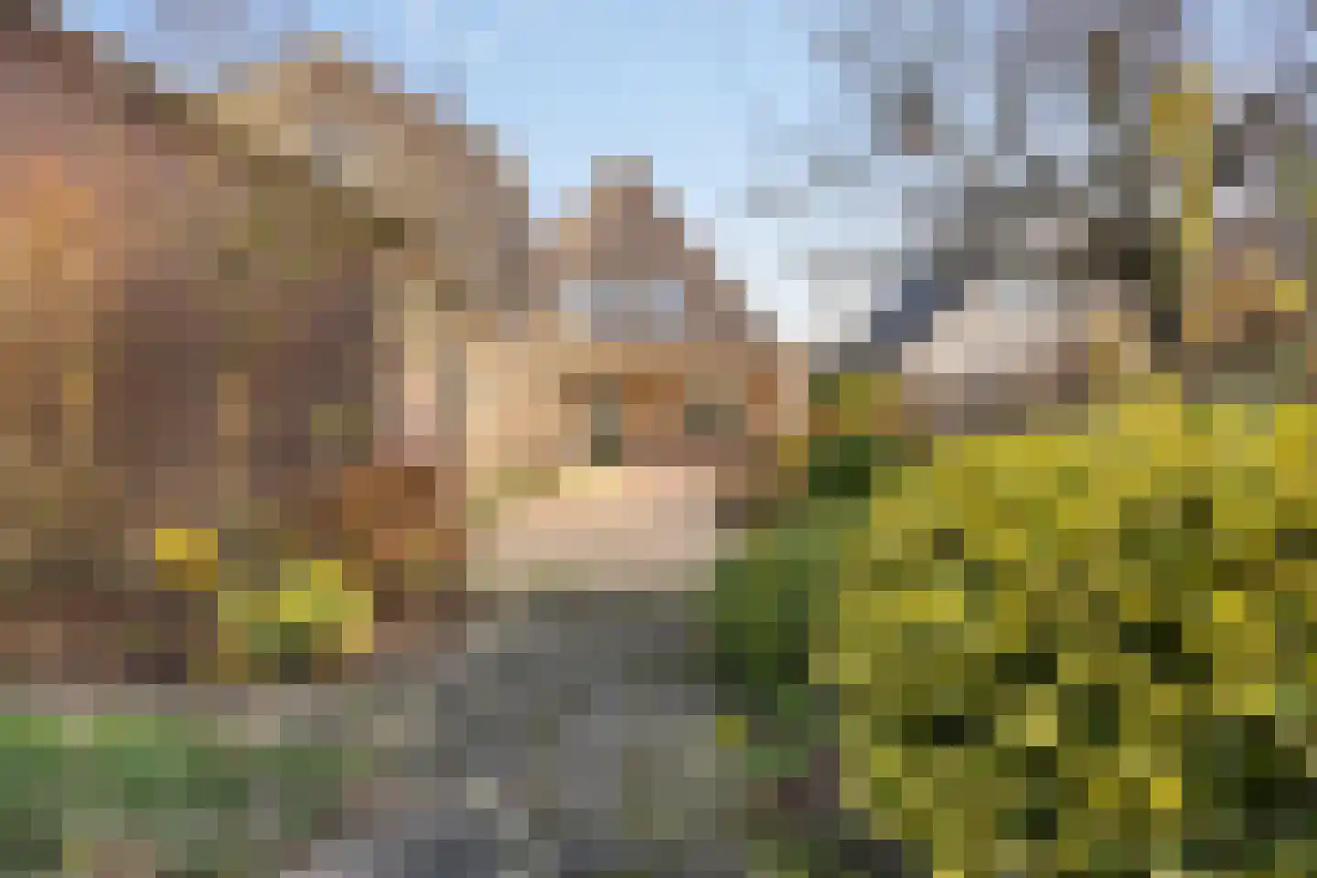 Hamseweg 44 Hoogland thumbnail 46