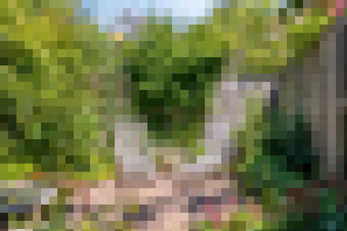 Hamseweg 75 Hoogland thumbnail 39