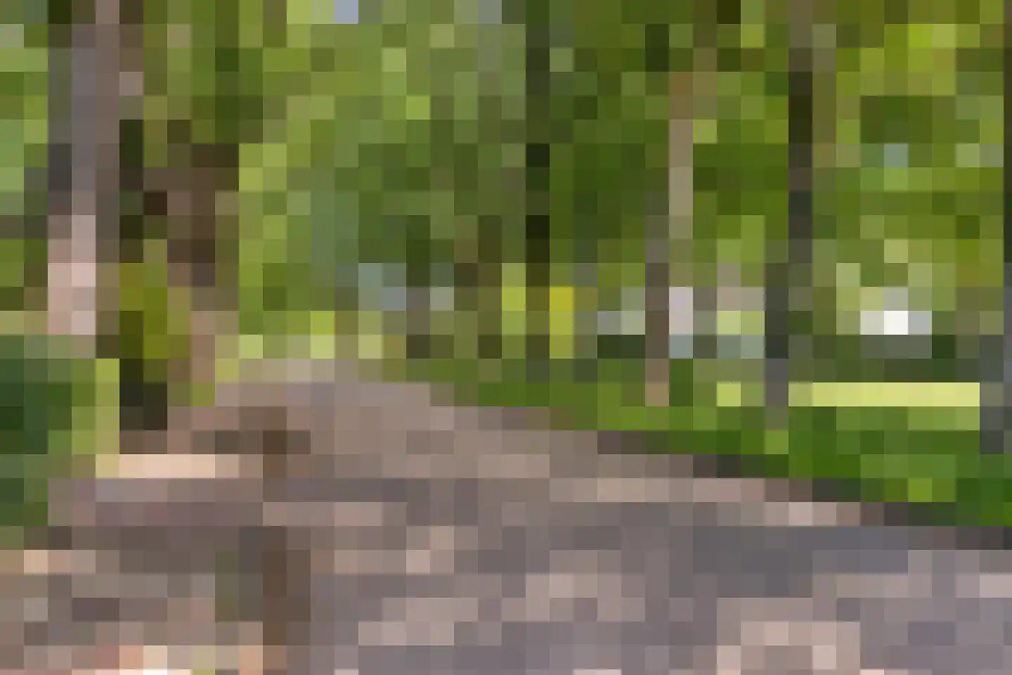 Hamseweg 75 Hoogland thumbnail 46