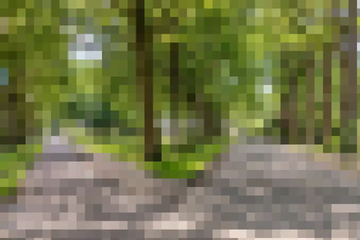 Hamseweg 75 Hoogland thumbnail 48
