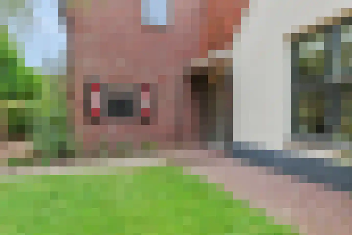Hamseweg 78 Hoogland thumbnail 5