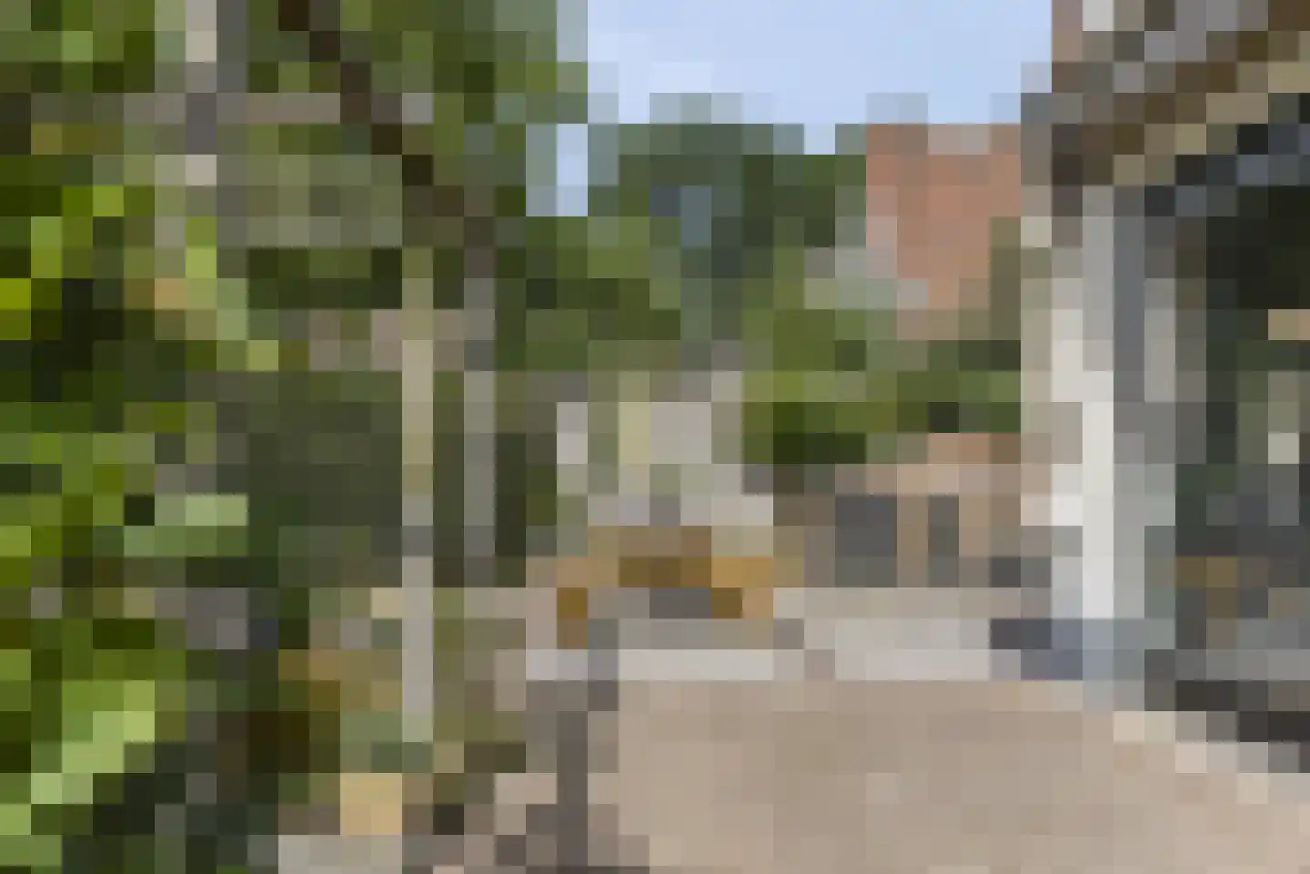Hamseweg 78 Hoogland thumbnail 52