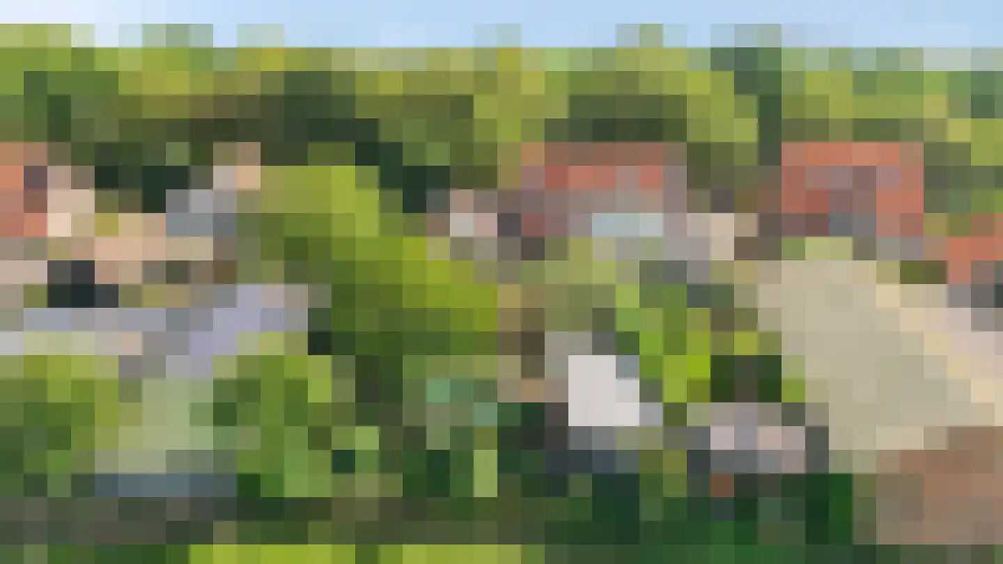 Hamseweg 78 Hoogland thumbnail 64