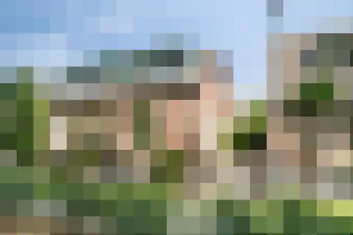 Hamseweg 81 Hoogland thumbnail 33