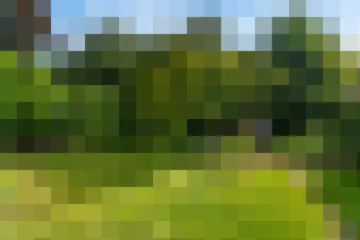 Hamseweg 87 Hoogland thumbnail 30
