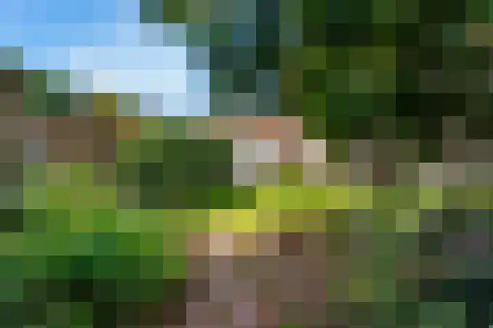 Hamseweg 87 Hoogland thumbnail 32