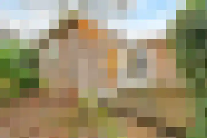 Hamseweg 87 Hoogland thumbnail 33