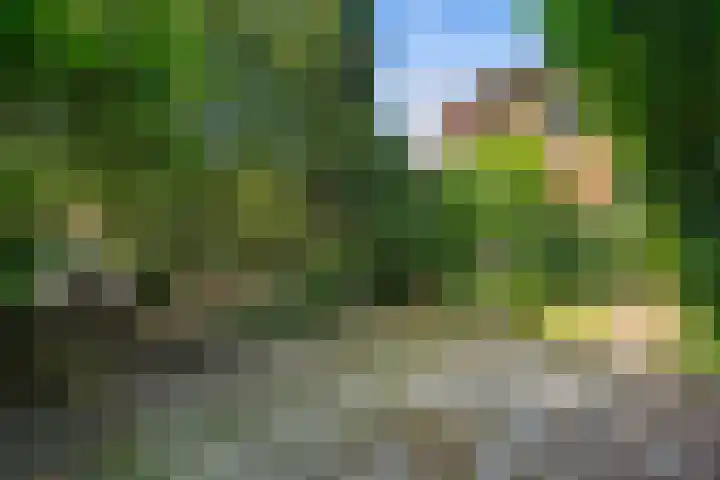 Hamseweg 87 Hoogland thumbnail 37