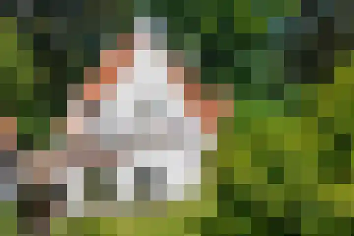 Hamseweg 87 Hoogland thumbnail 38