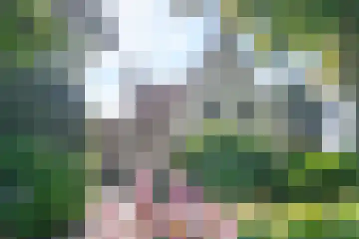 Hamseweg 87 Hoogland thumbnail 47