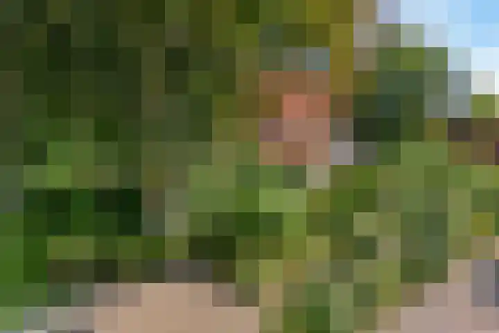 Hamseweg 87 Hoogland thumbnail 50