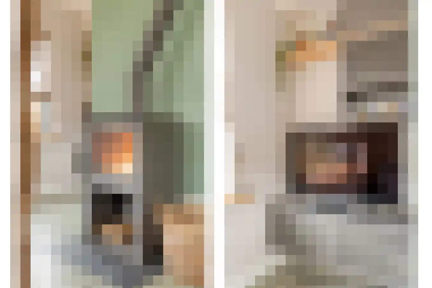 Hamsgoren 30 Ommen thumbnail 10