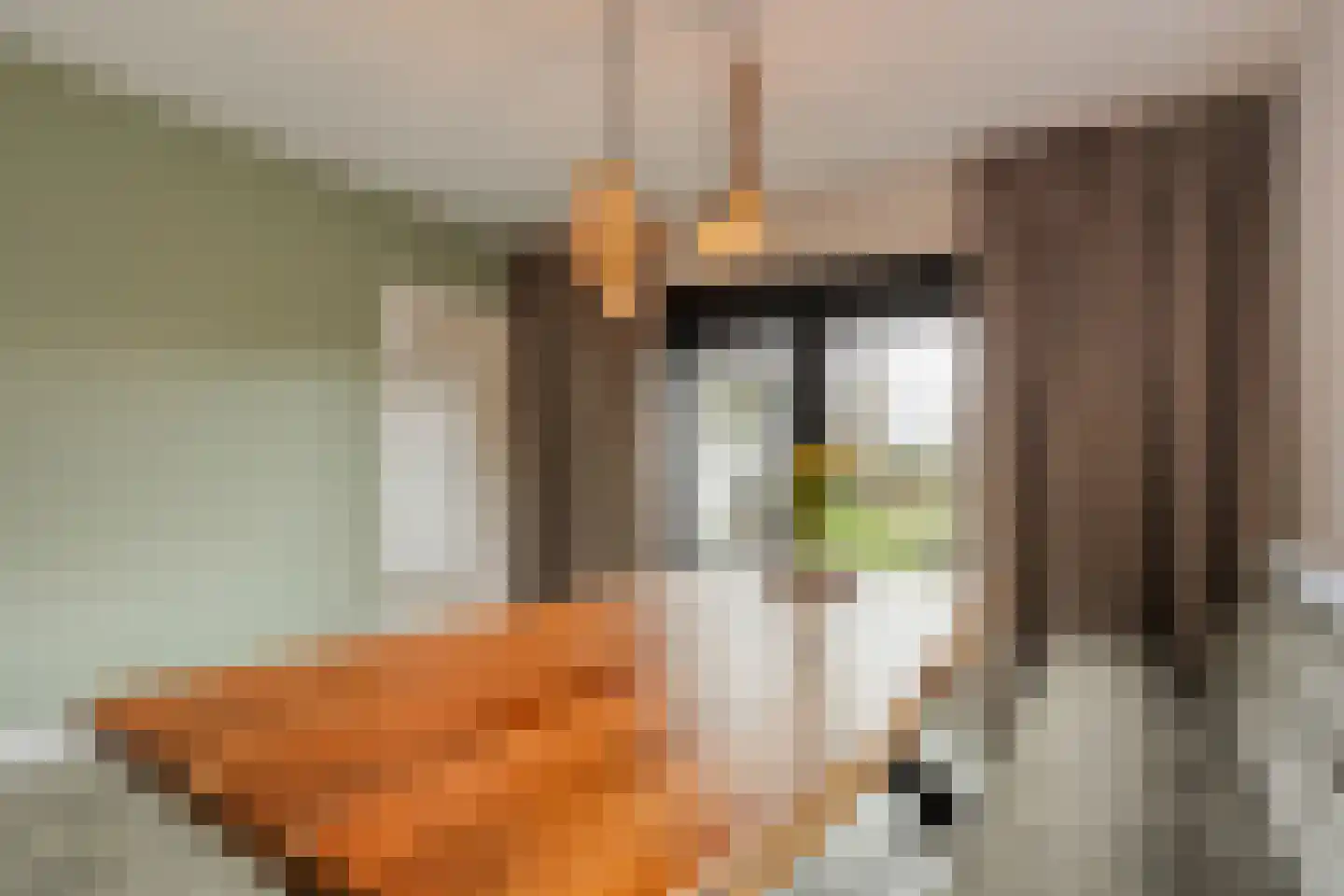 Hamsgoren 30 Ommen thumbnail 11