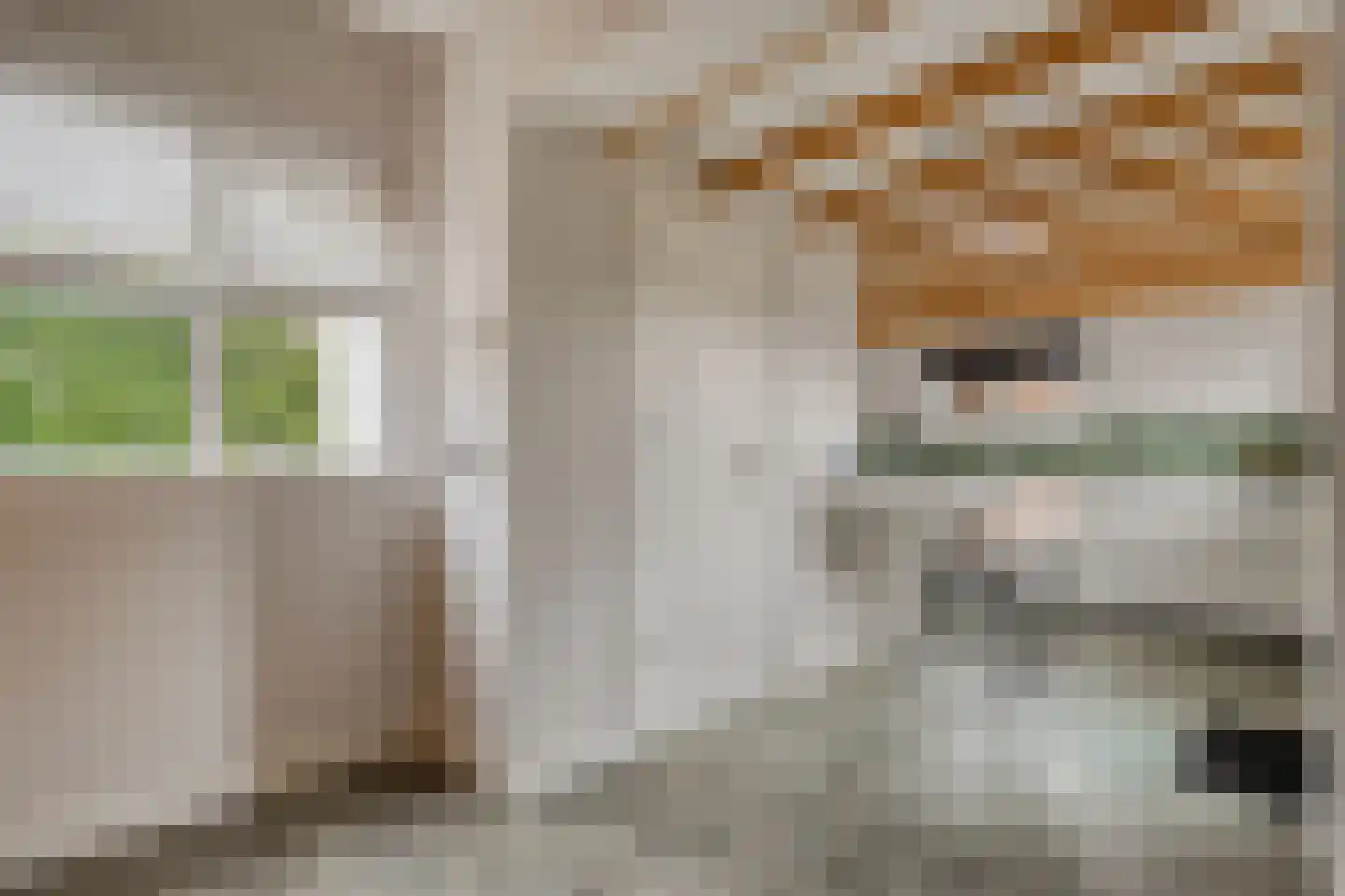 Hamsgoren 30 Ommen thumbnail 14