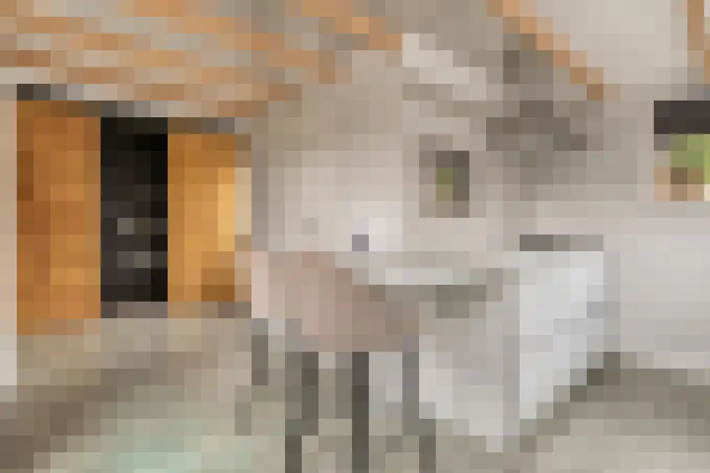 Hamsgoren 30 Ommen thumbnail 17