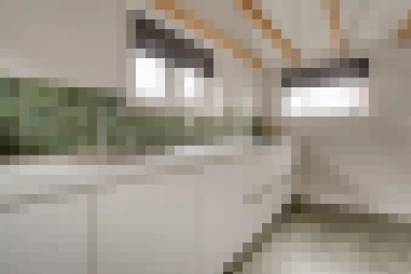 Hamsgoren 30 Ommen thumbnail 18