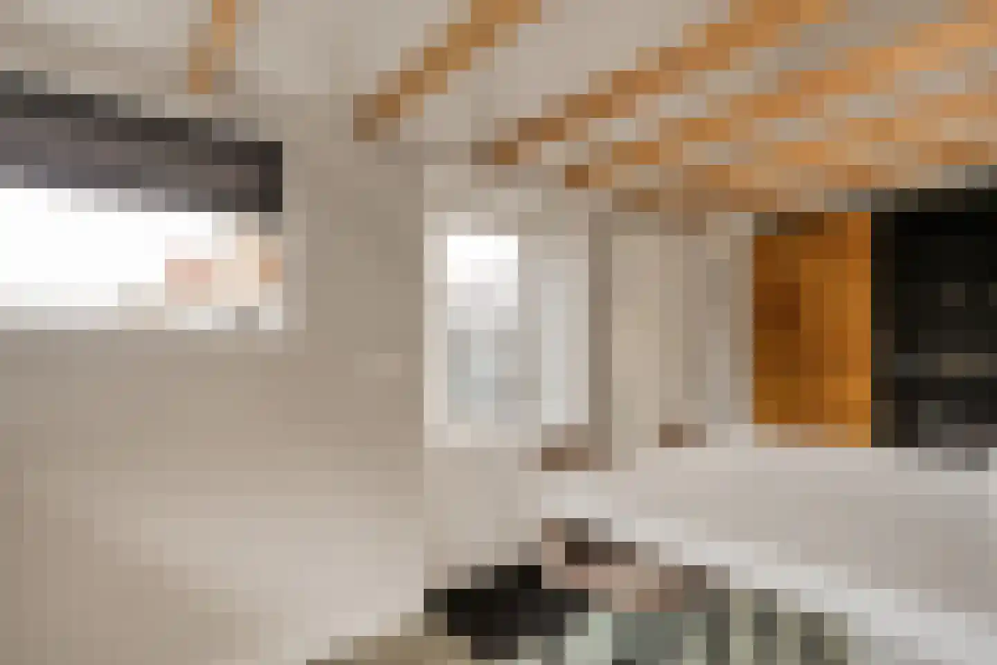Hamsgoren 30 Ommen thumbnail 19