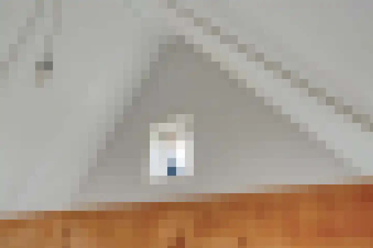 Hamsgoren 30 Ommen thumbnail 20