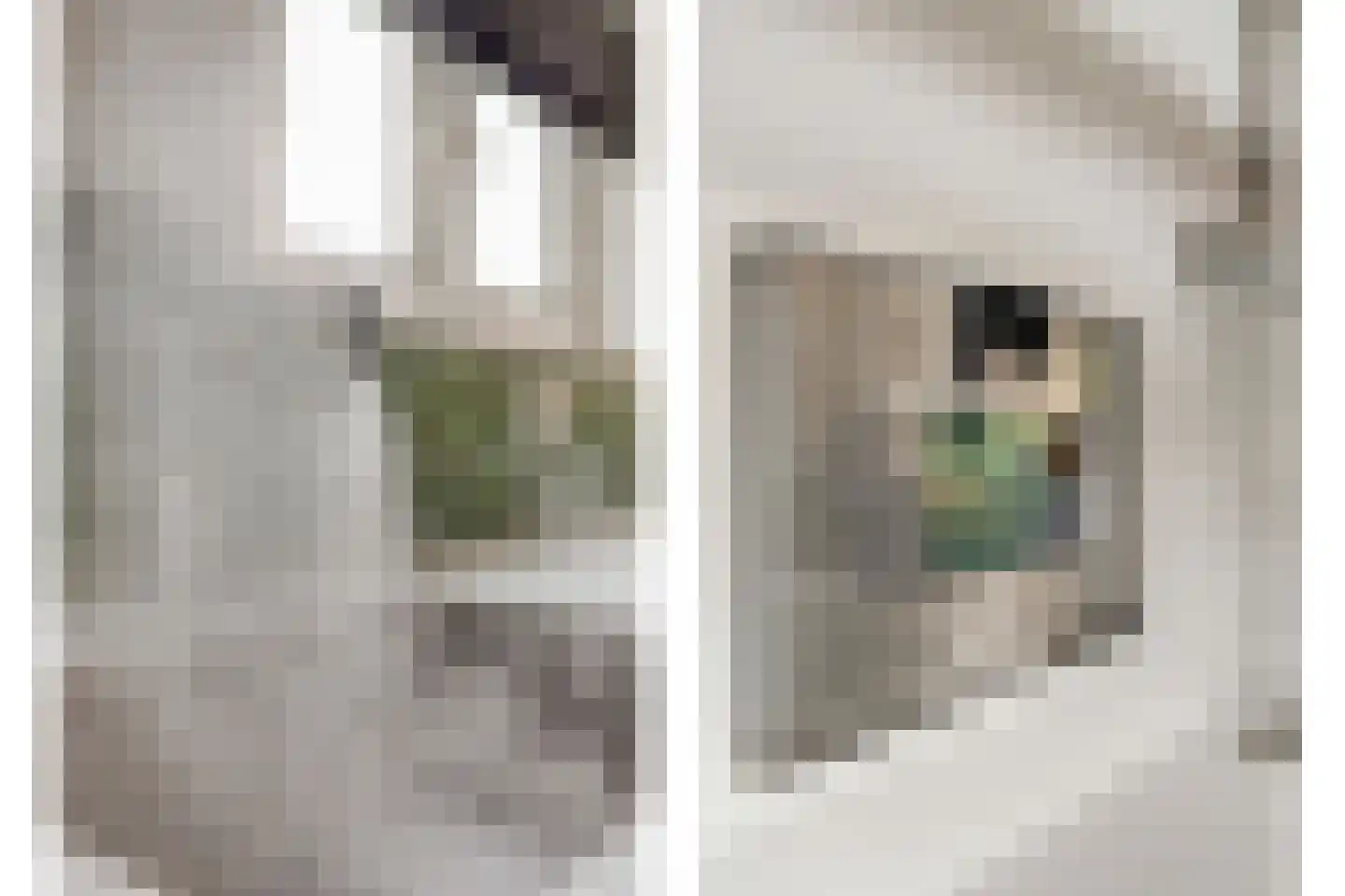 Hamsgoren 30 Ommen thumbnail 21