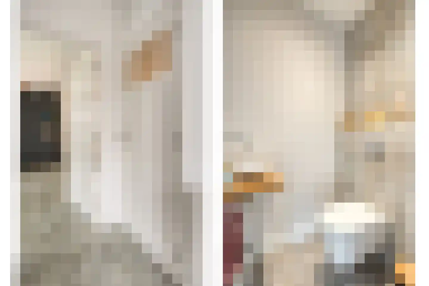 Hamsgoren 30 Ommen thumbnail 23