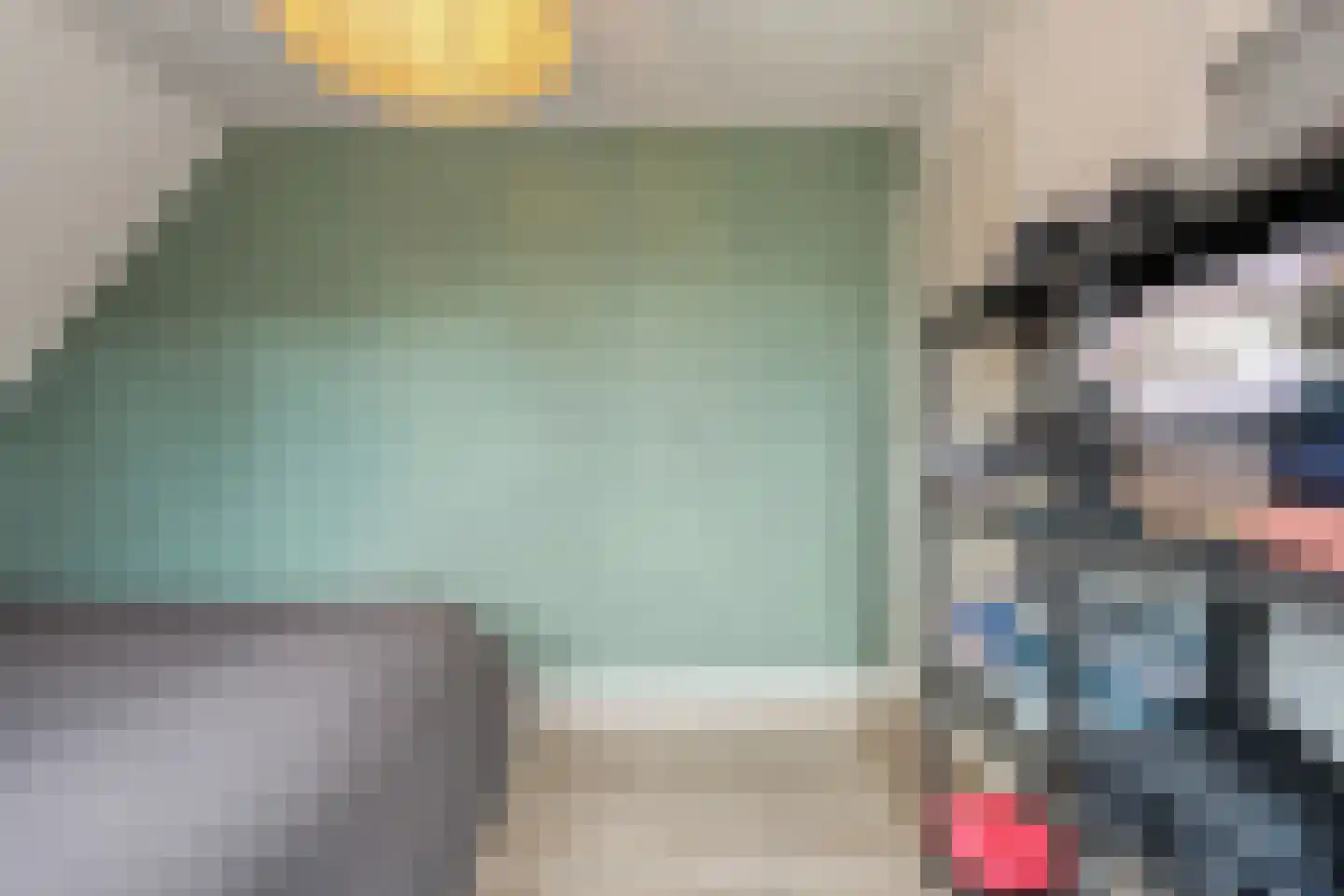 Hamsgoren 30 Ommen thumbnail 27