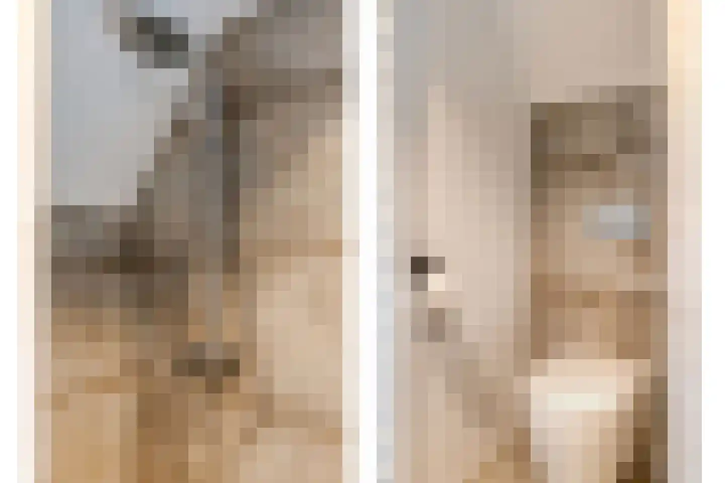 Hamsgoren 30 Ommen thumbnail 32