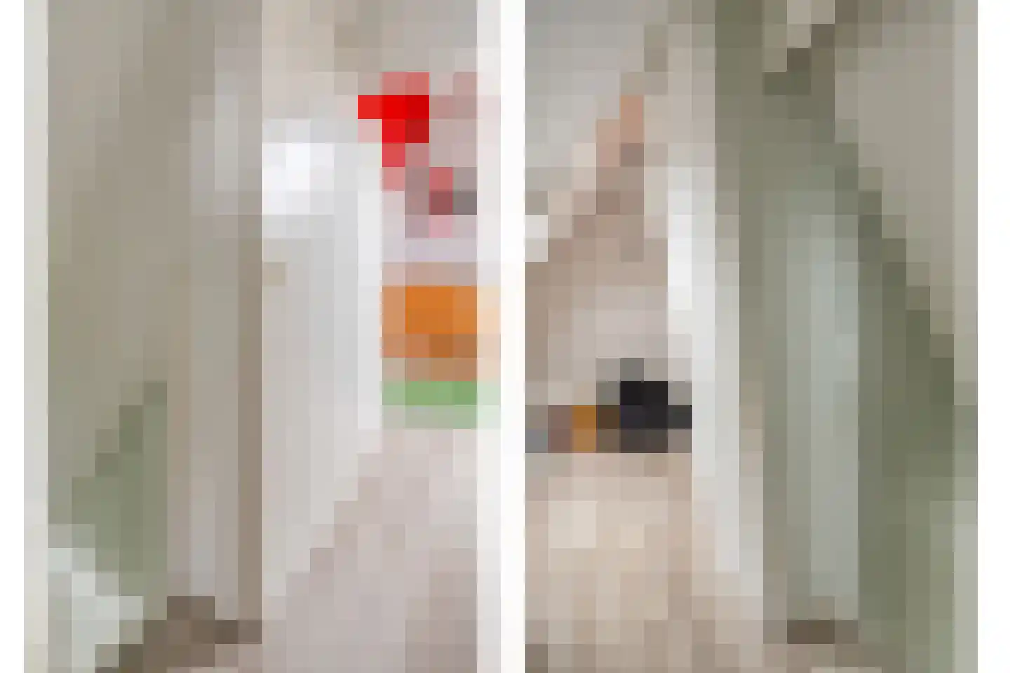 Hamsgoren 30 Ommen thumbnail 33