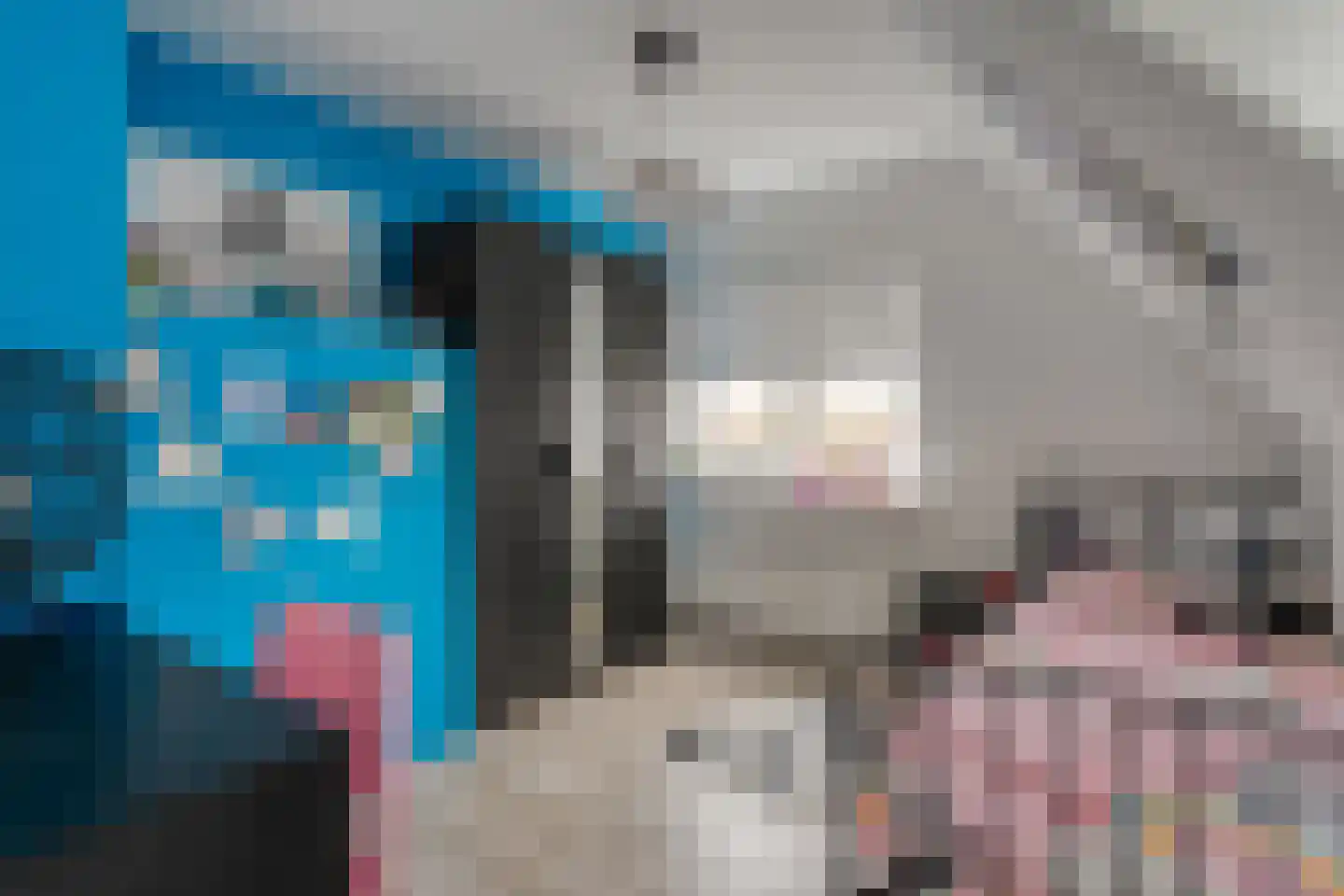 Hamsgoren 30 Ommen thumbnail 34