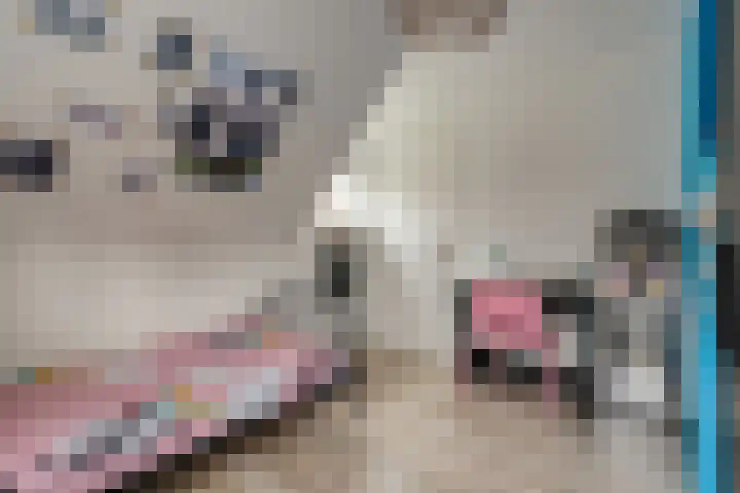 Hamsgoren 30 Ommen thumbnail 35