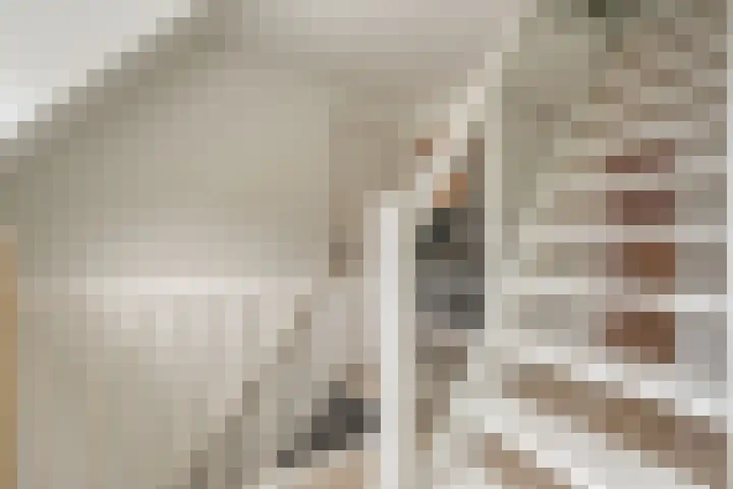 Hamsgoren 30 Ommen thumbnail 40