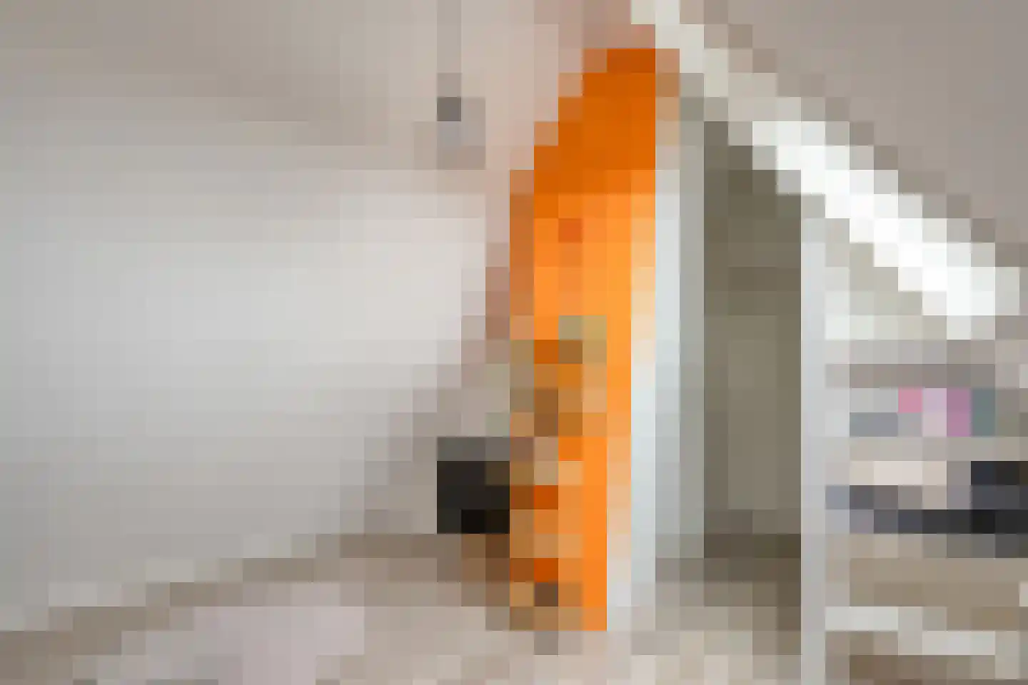 Hamsgoren 30 Ommen thumbnail 41