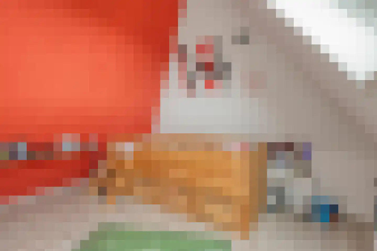 Hamsgoren 30 Ommen thumbnail 43
