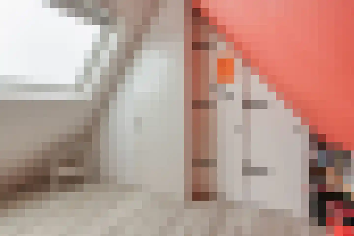 Hamsgoren 30 Ommen thumbnail 44