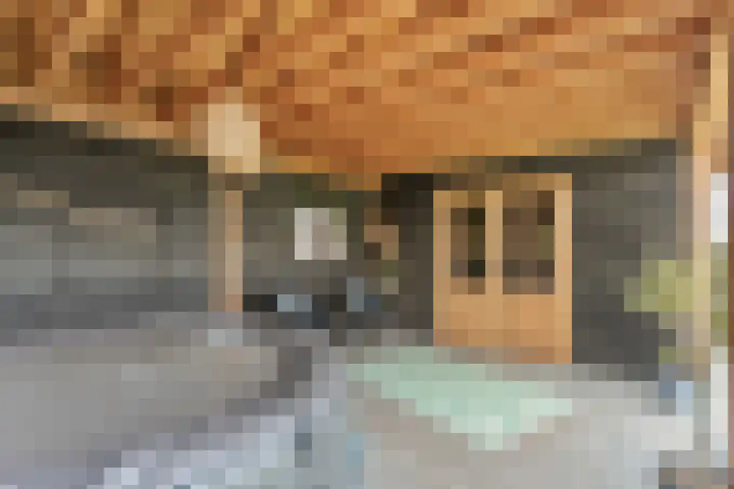 Hamsgoren 30 Ommen thumbnail 45