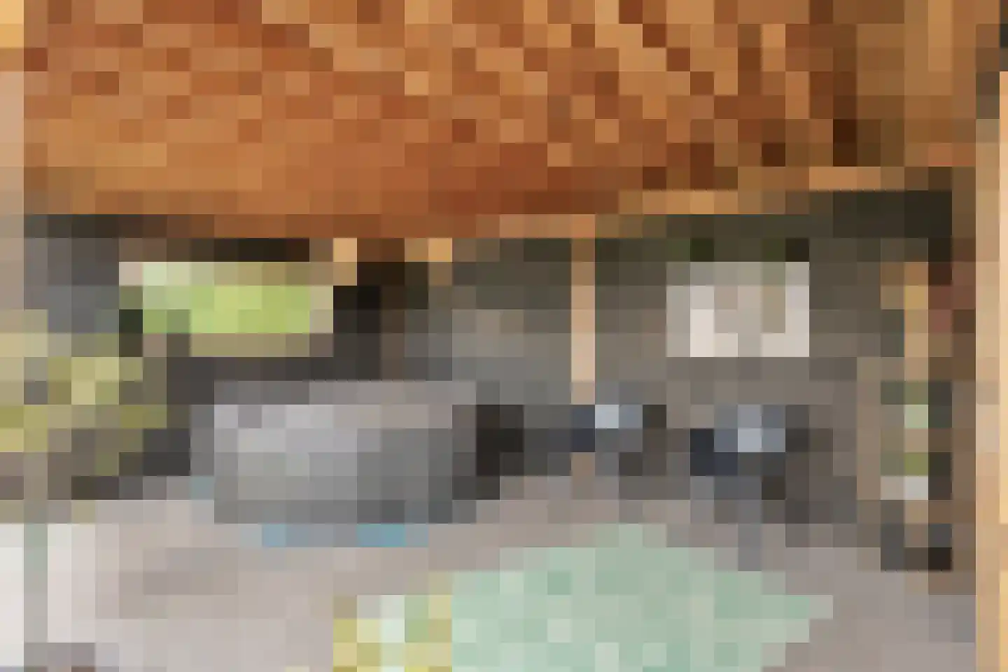 Hamsgoren 30 Ommen thumbnail 46