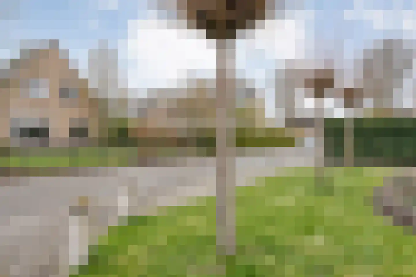 Hamsgoren 30 Ommen thumbnail 56