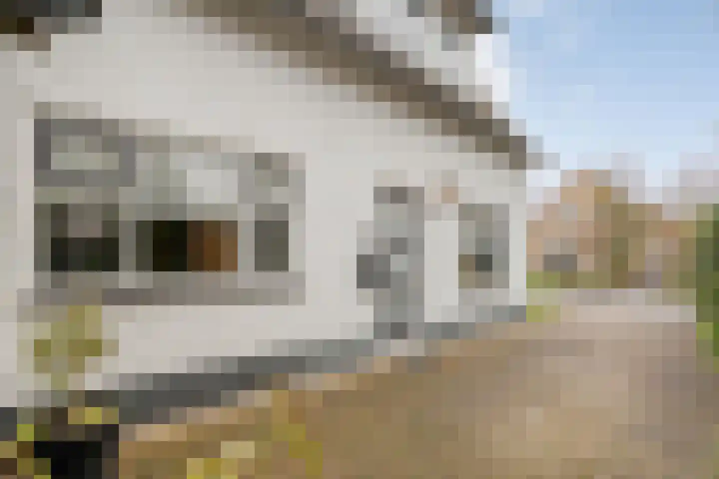 Hamsgoren 30 Ommen thumbnail 57