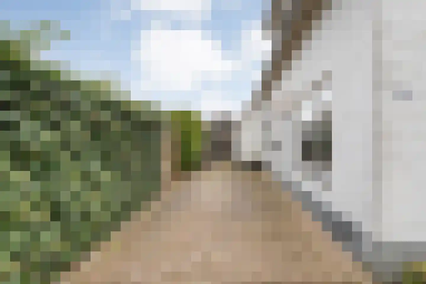 Hamsgoren 30 Ommen thumbnail 58