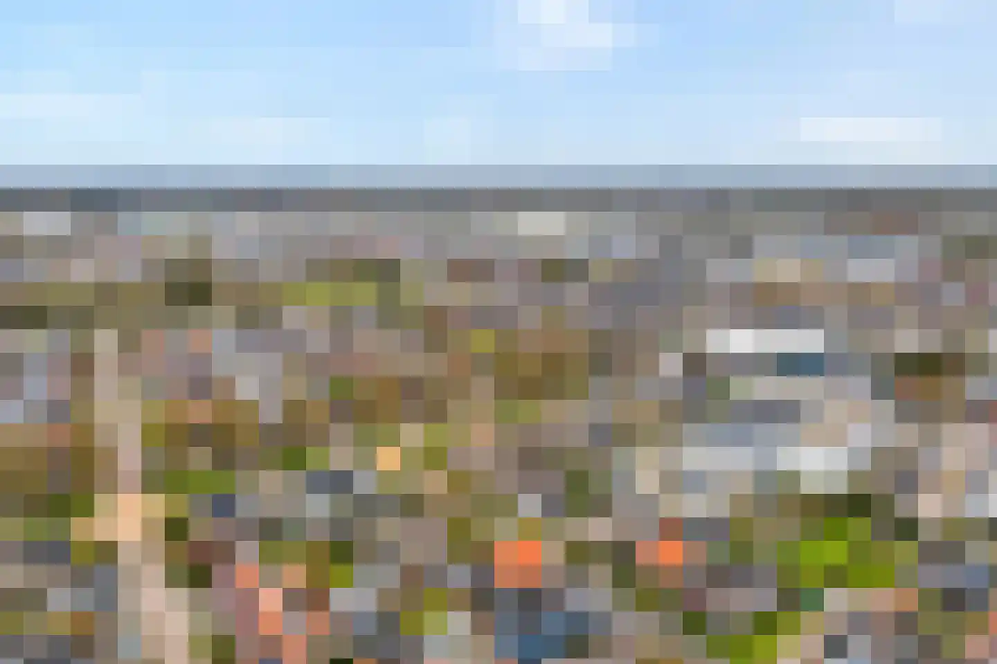 Hamsgoren 30 Ommen thumbnail 59