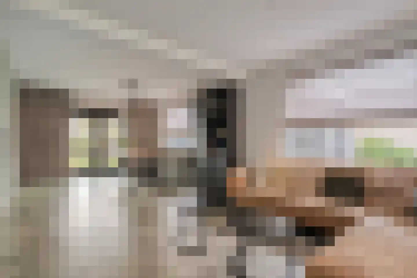 Hamsgoren 30 Ommen thumbnail 6
