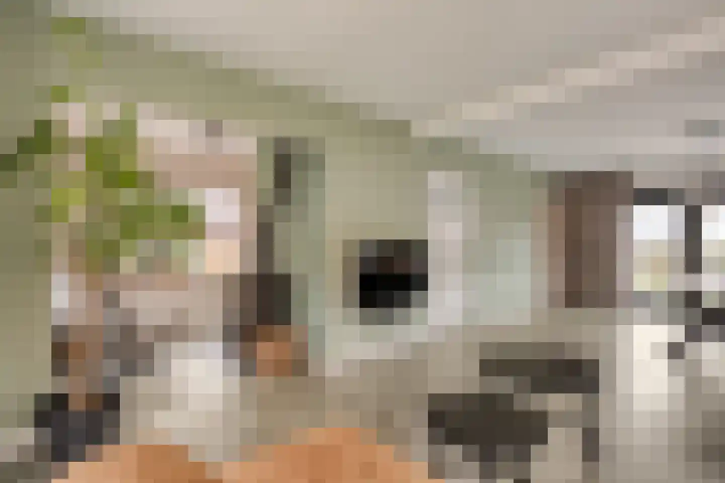 Hamsgoren 30 Ommen thumbnail 7