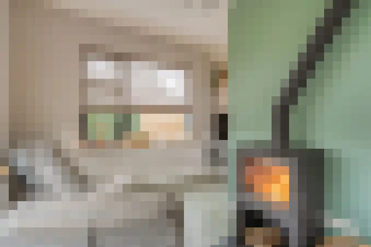 Hamsgoren 30 Ommen thumbnail 8