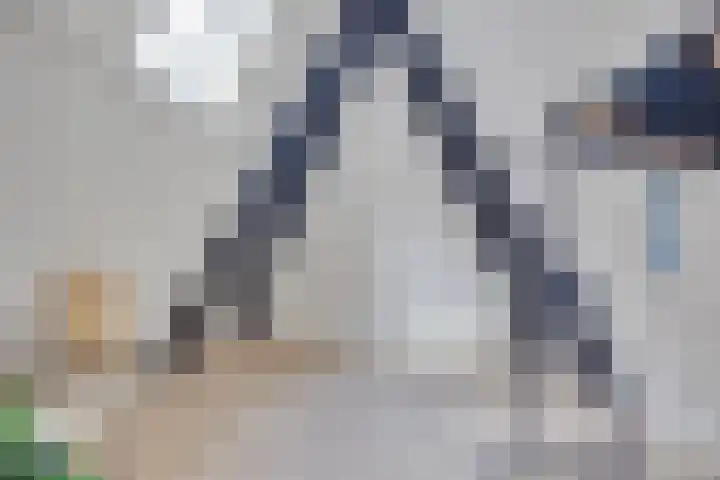 Hamsteeg 17 A Utrecht thumbnail 18