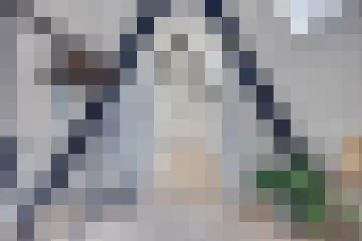 Hamsteeg 17 A Utrecht thumbnail 19