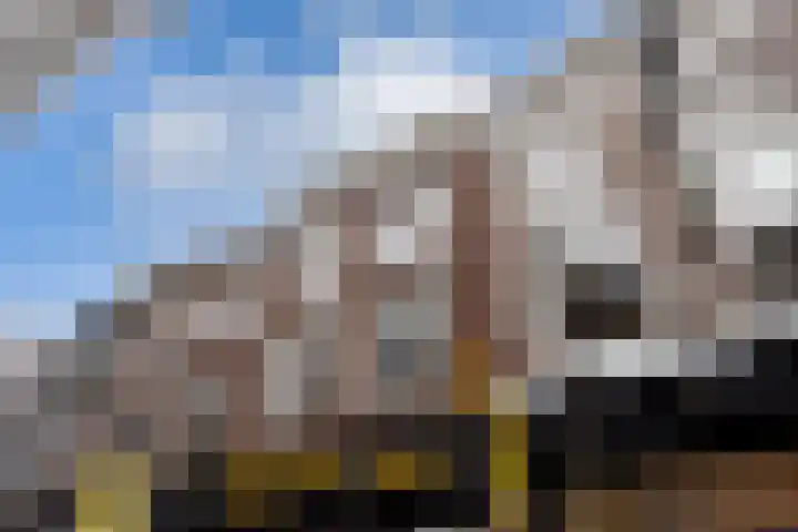 Hamsteeg 17 A Utrecht thumbnail 20