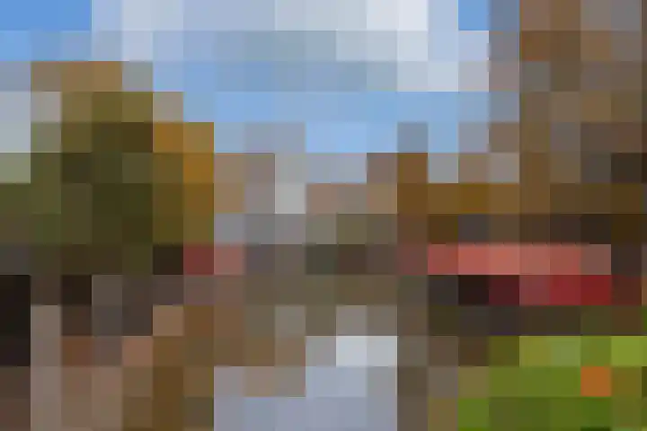 Hamsteeg 17 A Utrecht thumbnail 23