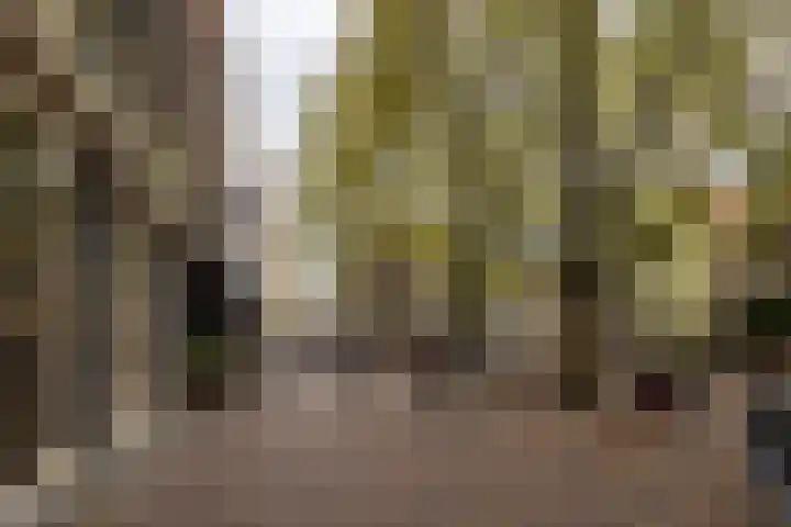 Hamsteeg 17 A Utrecht thumbnail 26